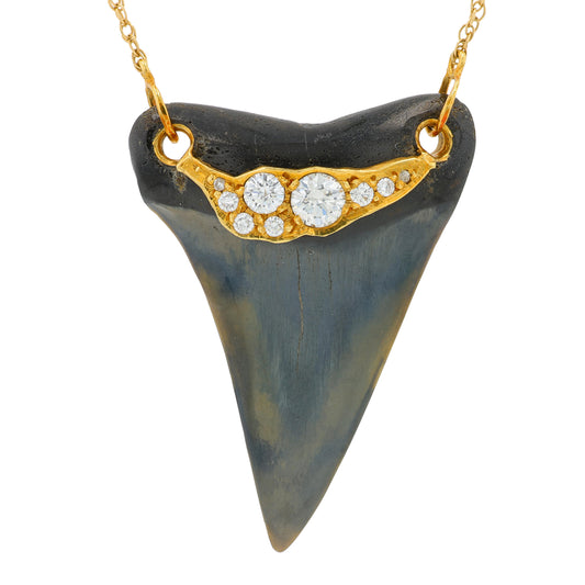 18K YG Megalodon Shark Tooth Necklace